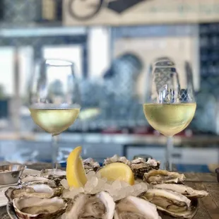Chef pick dozen oysters and house wine