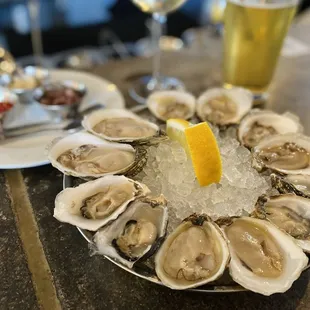 oysters, oysters and mussels, food, mussels, shellfish
