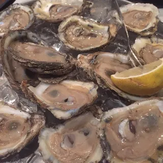 Oysters on the Half Shell