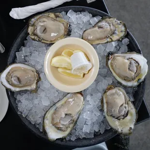 Raw Gulf Oysters