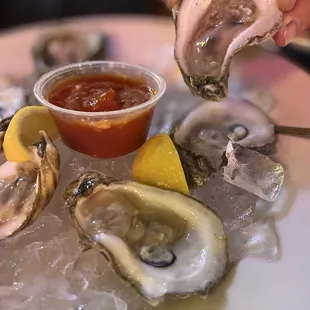 Blue point oysters