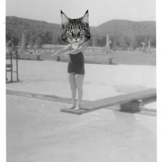 Catherine M.
