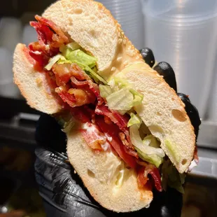 a hand holding a sandwich