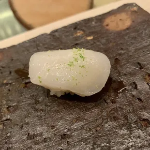 Scallop