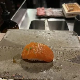 Ocean Trout