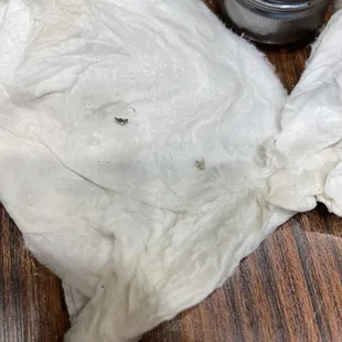 Bottom right is the bug from our salt shaker