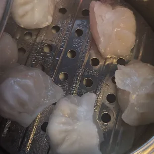Crystal Shrimp
