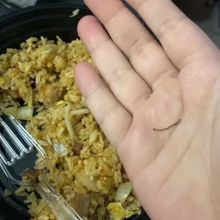 Pork Fried Rice