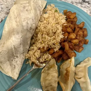 Moo Shu Pork, Pork Pan-Fried Gyoza, Crispy Orange Chicken, Fried Rice