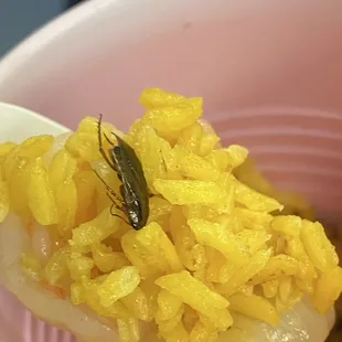 Shun Xin Chinese Restaurant
