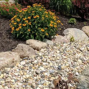 Perennial garden after one year.