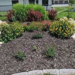 Perennial garden after one year.... thriving