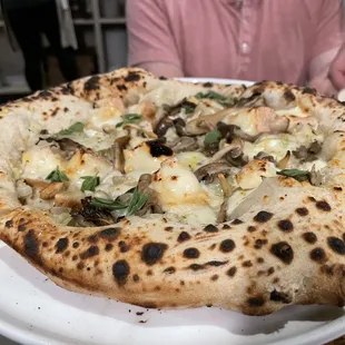 Mushroom pizza