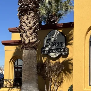a palm tree in front of a restaurant
