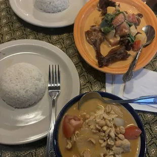 Massaman Curry and Duck Curry Specialty