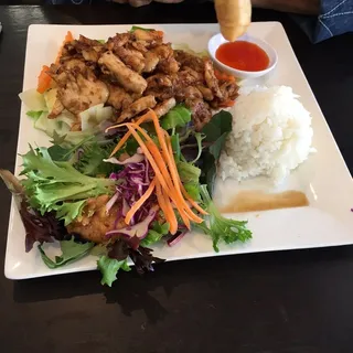 S3. Garlic Chicken Lunch Special
