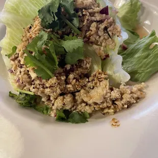 Chicken larb very flavorful