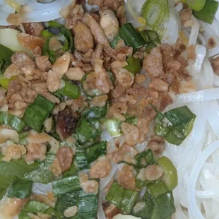 Noodles , a bit of fried shallots perhaps, and green onion. The container was packed! I like that