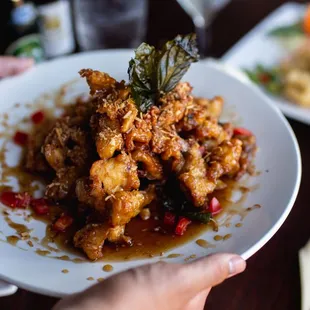 The most addicting dish on the menu. Extremely popular with kids and adults. Honey Crispy Chicken.