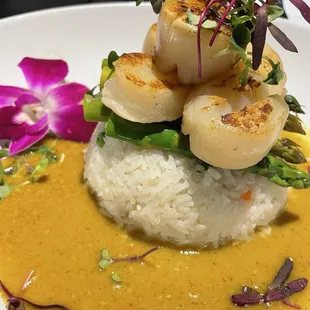 Vanilla Sky Scallops
