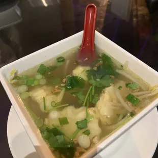 Shrimp Wonton Soup