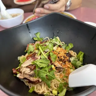Stewed Duck Soup with noodles