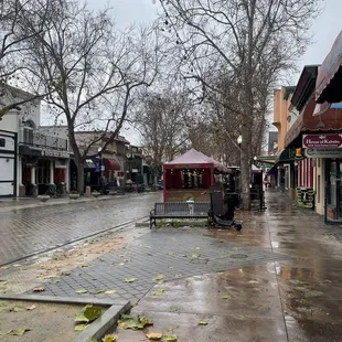 Downtown Sunnyvale Area