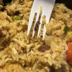 Pineapple fried rice with cooked in Roach.