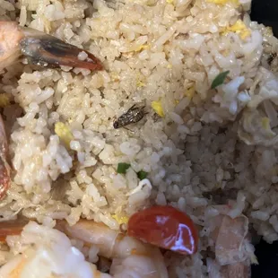 Roach in food and overcooked rice