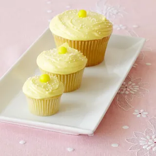 Trio of Sizes - Mini, Regular, Jumbo