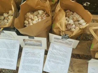 Antioch Urban Growers