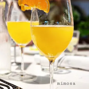 Mimosa