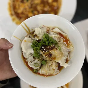 Sichuan Style Dumpling