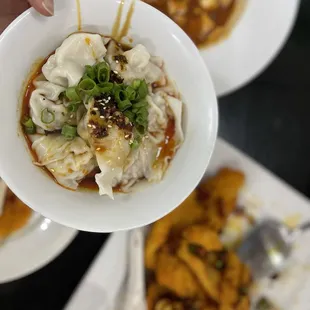 Sichuan Style Dumpling