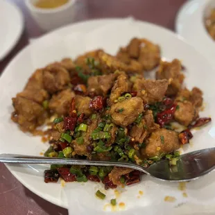 38. Spicy Sichuan Style Chicken