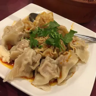 Spicy Wontons