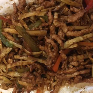Shredded Pork
