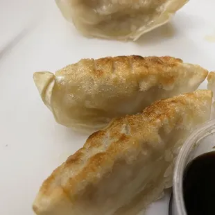 Pan Fried Dumplings