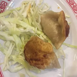 Pan Fried Dumplings
