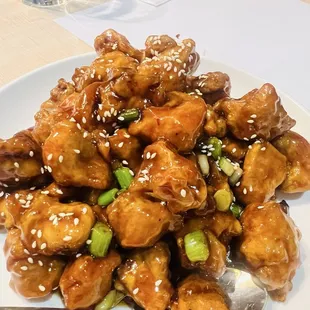 Zuo Zong (general Tso) - the best in town
