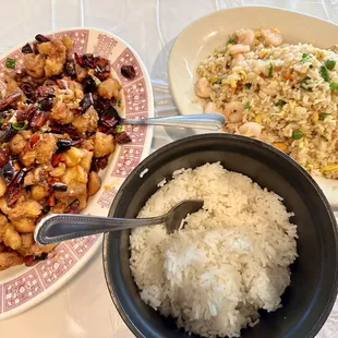 a bowl of rice and a bowl of chicken