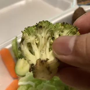 Broccoli is not supposed to look like this right?