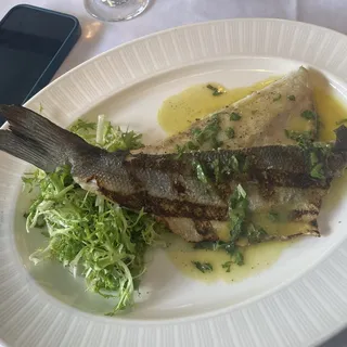Branzino
