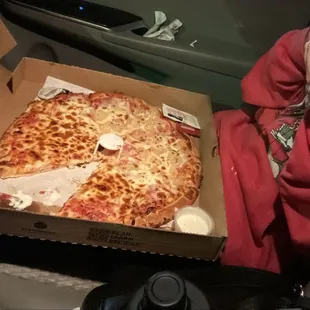 Large Half cheese, half Hawaiian pizza