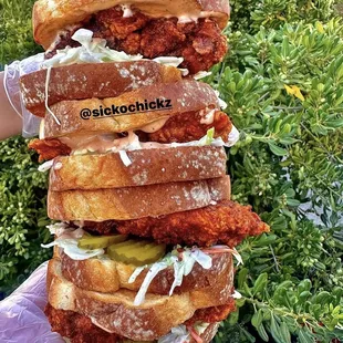 Hot Chicken