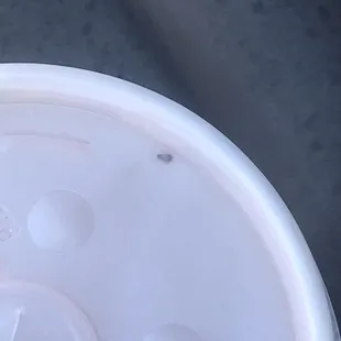 To go cup with an insect inside the lid.
