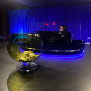 Seats in front of the piano!