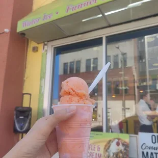 Mango berry water ice (small)