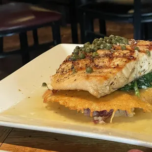 Damon Salmon Picata