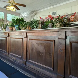 a long counter with plants on top